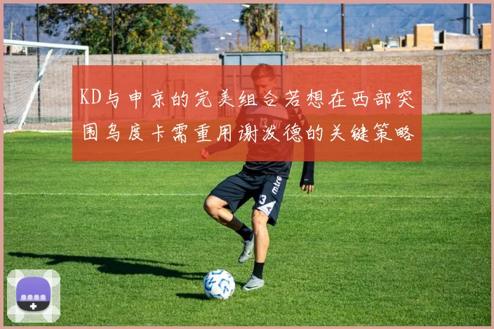 KD与申京的完美组合若想在西部突围乌度卡需重用谢泼德的关键策略