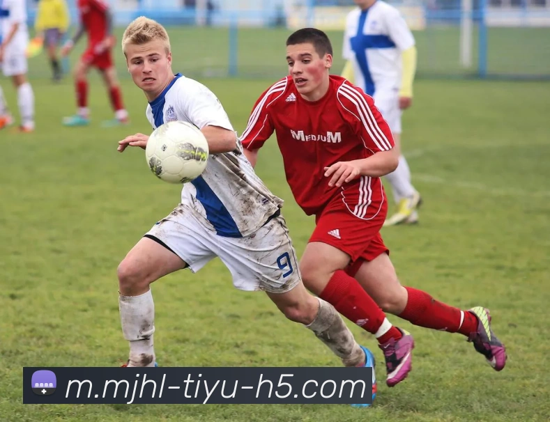 多媒体互动体验